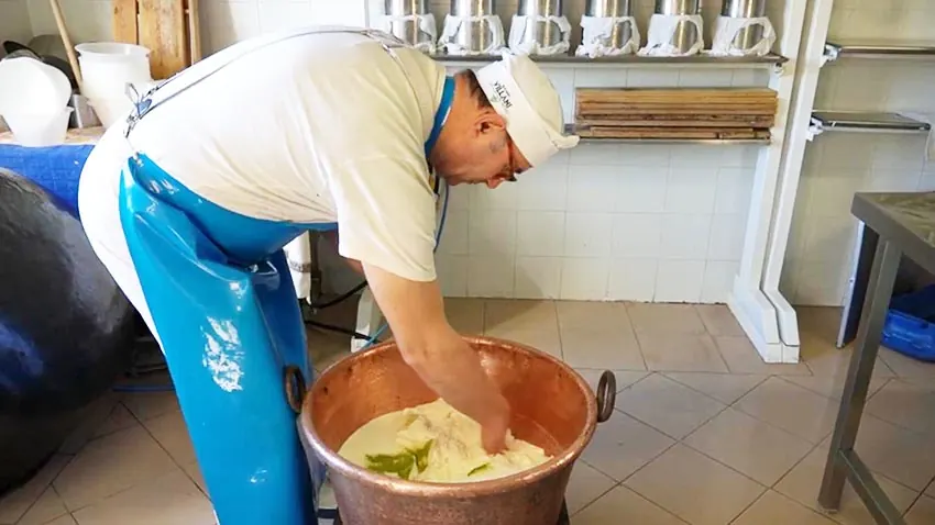 Il casaro lavora la cagliata del pecorino