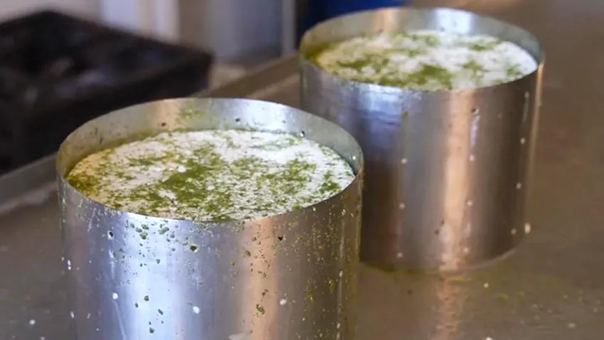 Il formaggio con Moringa nelle fuscelle