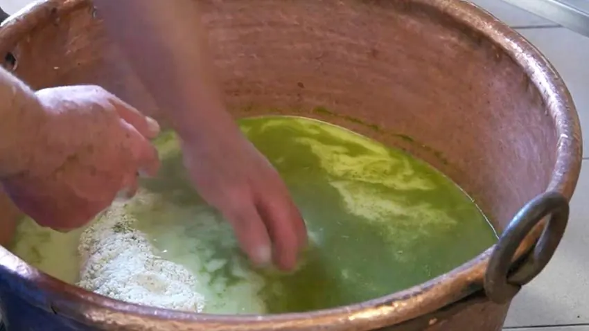 Lavorazione della cagliata con la Moringa