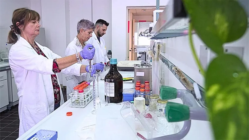 Ricercatori del CNR al lavoro sugli estratti di Moringa in laboratorio