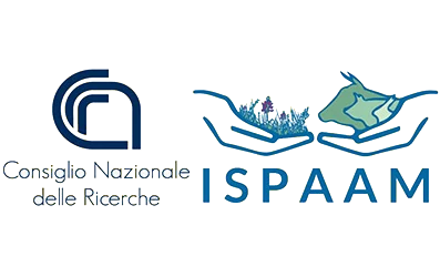 CNR-ISPAAM