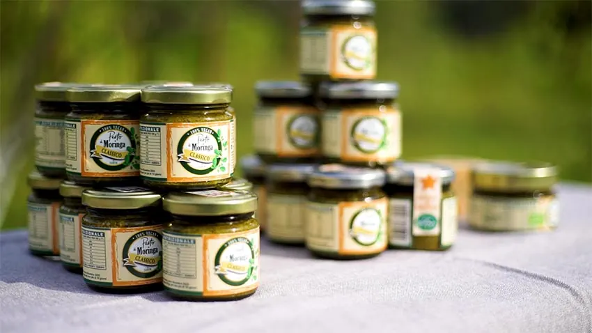 Vasetti di pesto di Moringa biologico di Samor